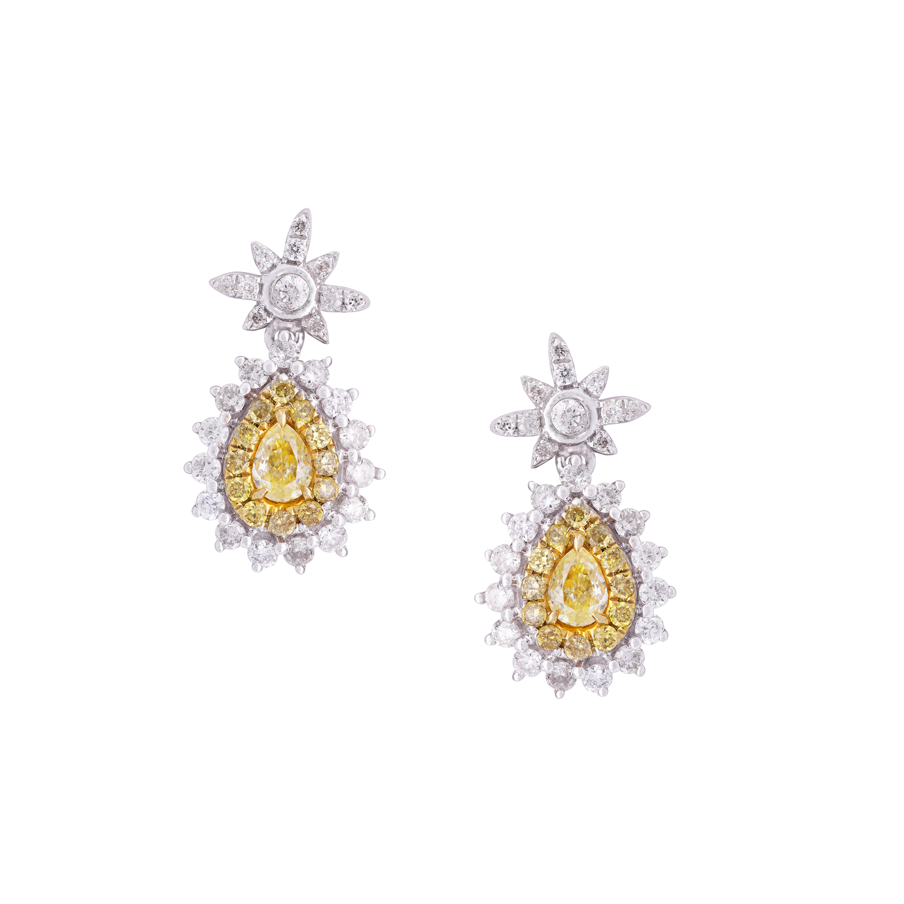 Nai Fancy Diamond Earrings
